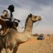 Portugueses escolhem entre Africa Race e Dakar