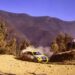 “World Rally… custos”