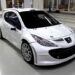 Peugeot 207 S2000 com nova evolução é agora 20 mm mais largo