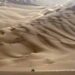 FOTOGALERIA: As melhores imagens do Dakar 2012