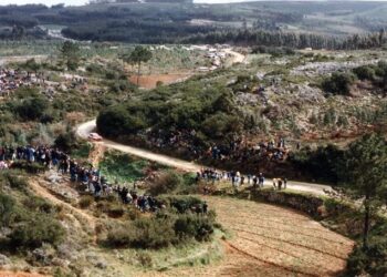 Ralis regressaram à Serra de Montejunto