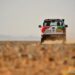Elisabete Jacinto em ascensão no Rallye des Gazelles