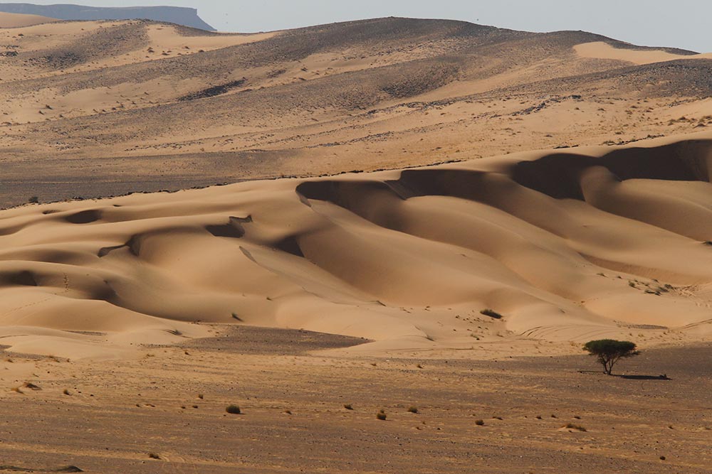 FOTOGALERIA: Africa Race