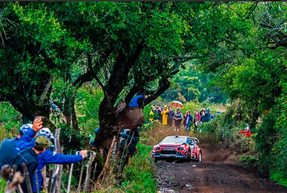 WRC, Rali do Chile: M-Sport e Citroën com decisões distintas
