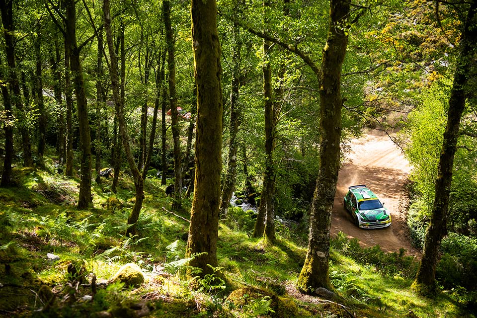 WRC, Rali de Portugal: stage Flash PE17 Montim