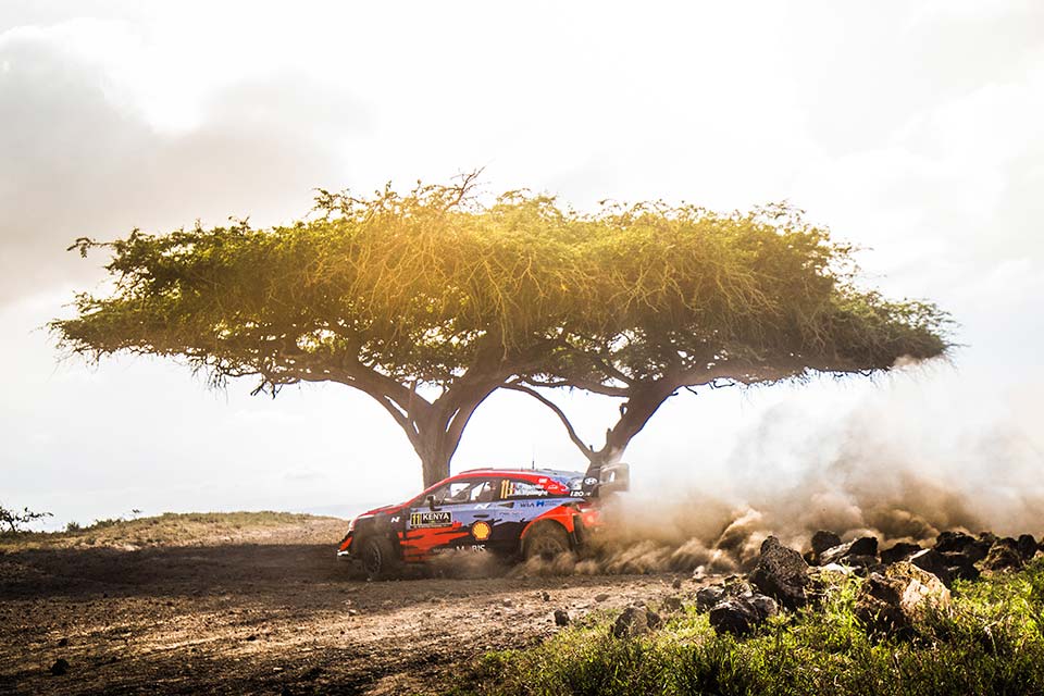 WRC, Rali Safari, PE11: Thierry Neuville retardado.. pelas zebras