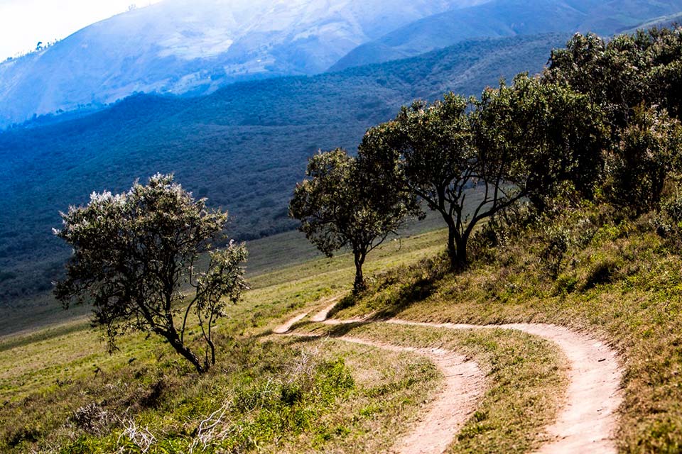 WRC, Rali Safari: O percurso com muito de ‘antigamente’…