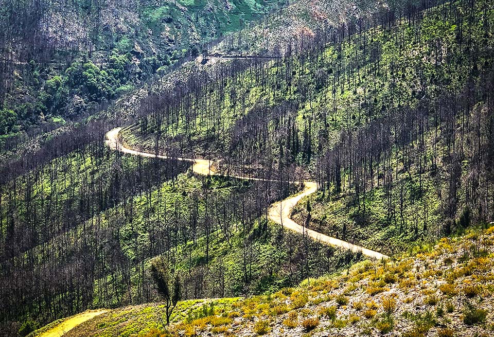 WRC, Rali de Portugal já mexe: testes agendados a seguir ao Rali da Croácia