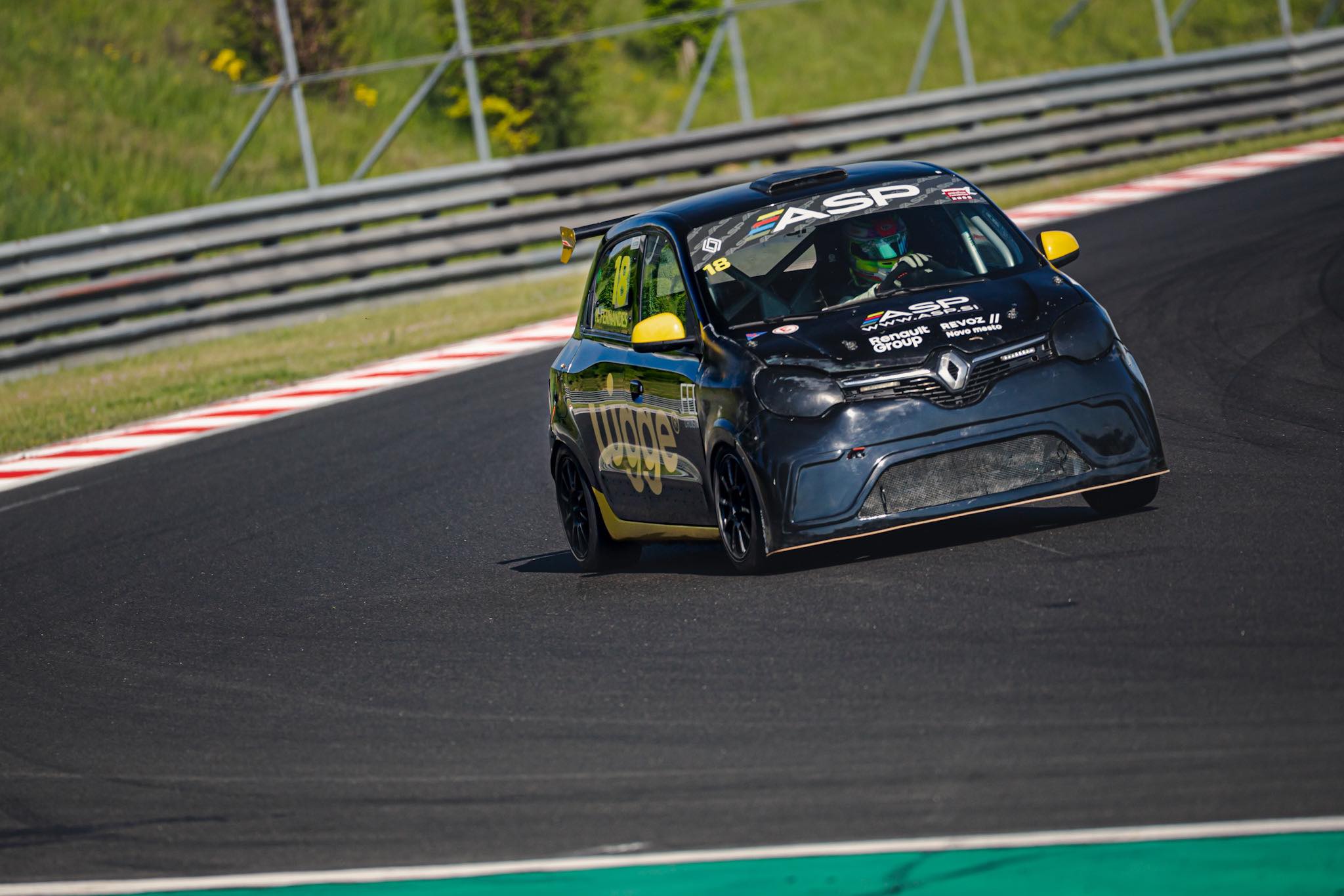 Renault Twingo Cup - Carros de corrida a venda