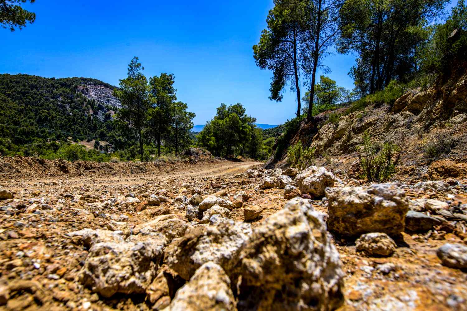 WRC, Rali da Grécia/Acrópole: Odisseia visual…