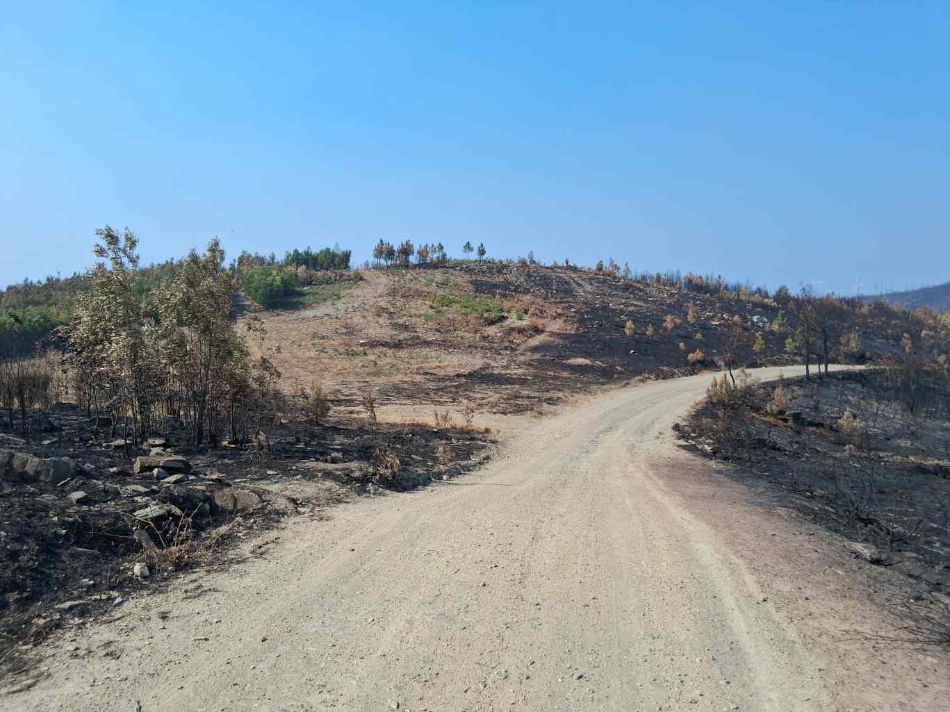 Incêndios em Portugal: Troços do Rali de Portugal afetados