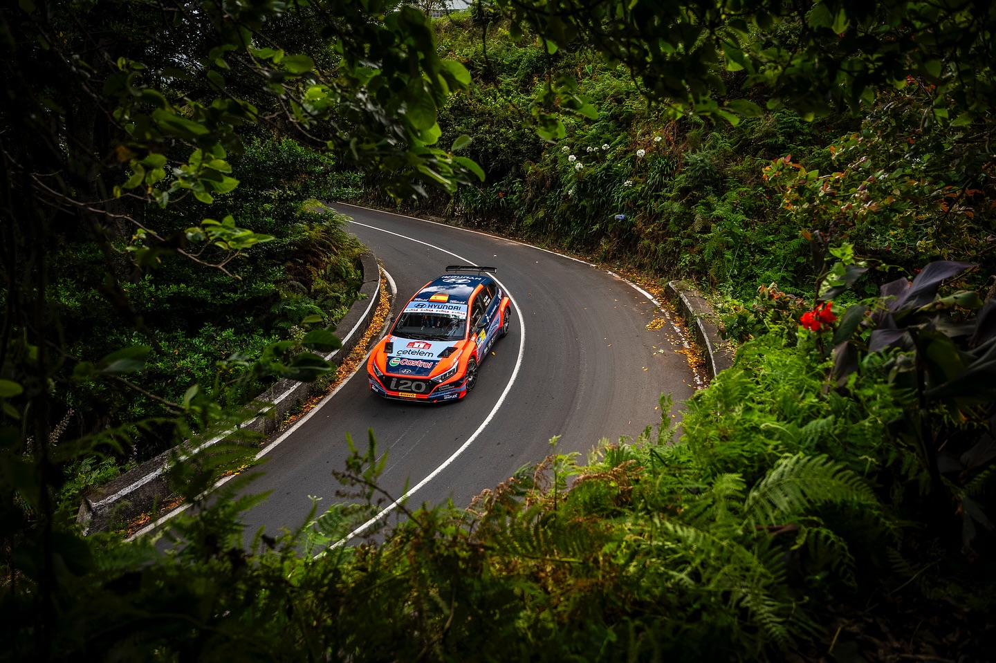 Rali da Madeira, Dani Sordo: “Não consigo fazer nada”
