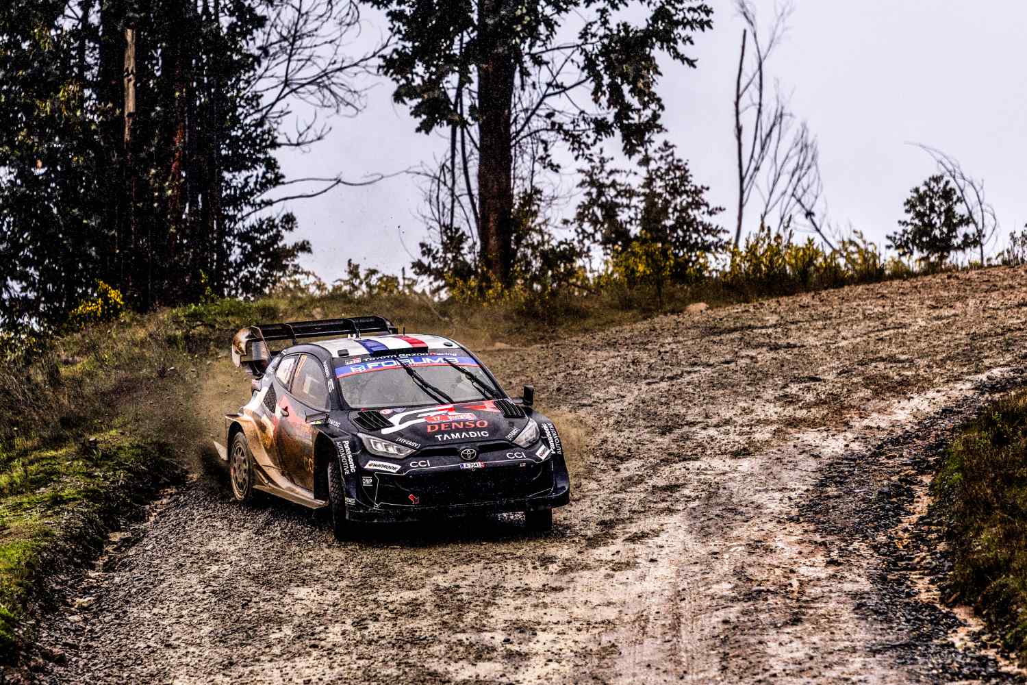 WRC, Rali do Chile/PEC11: Sébastien Ogier é o novo líder…