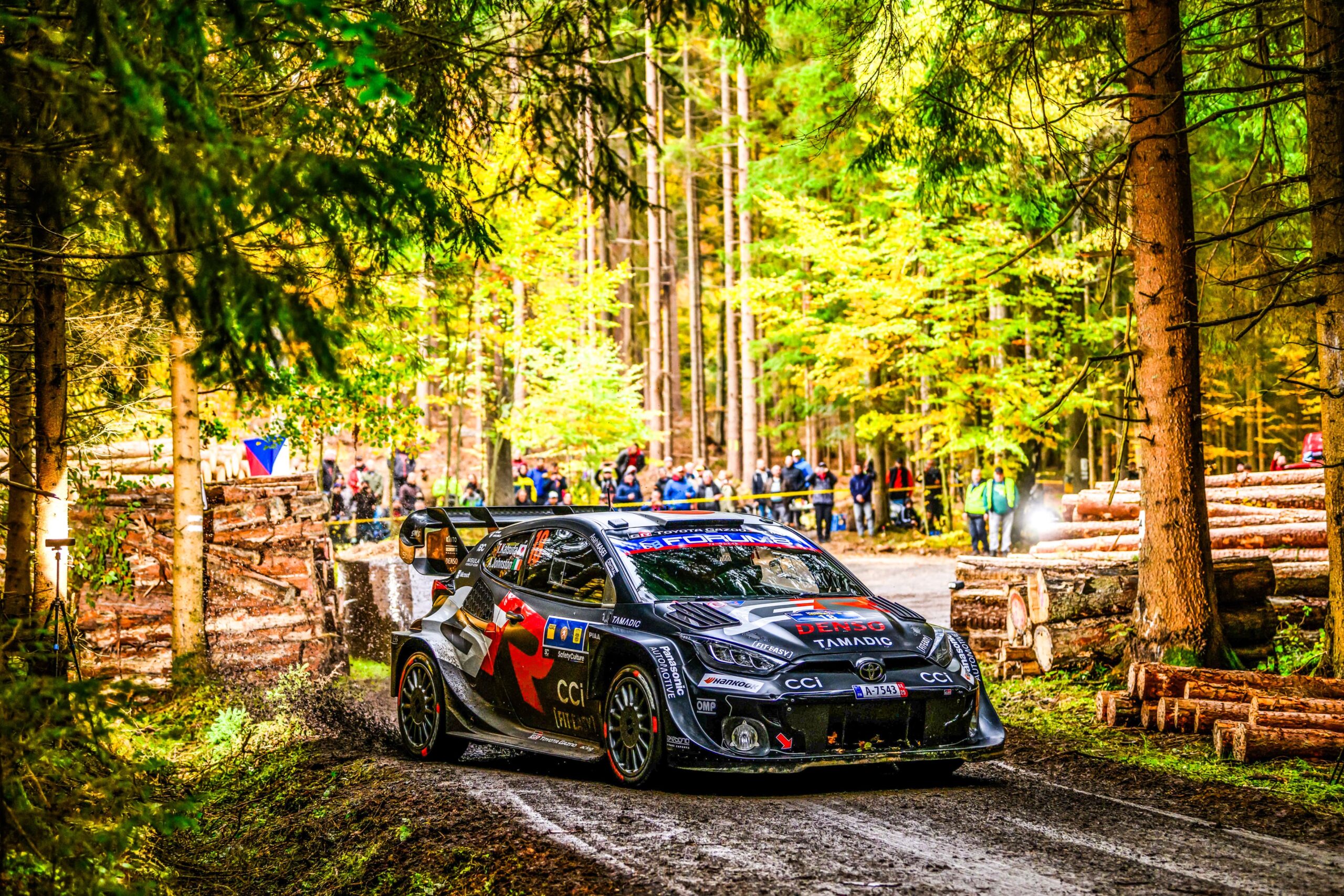 WRC, Rali da Europa Central/PEC13: Rovanperä em modo gestão, Tanak e Evans lutam pelo 2º lugar