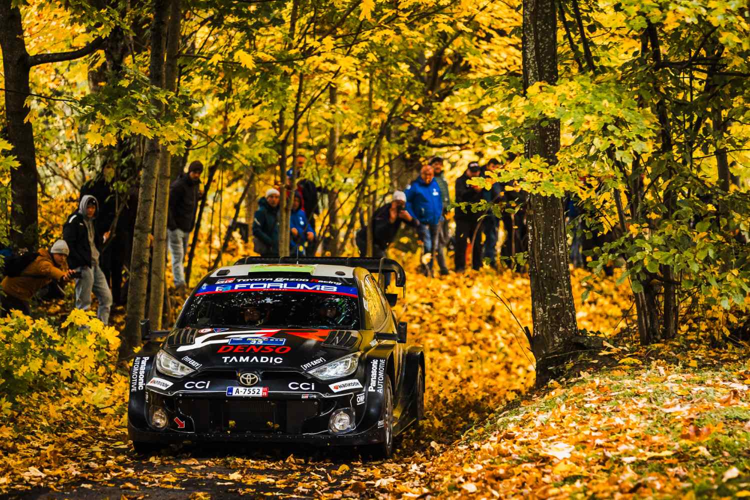 Elfyn Evans lidera luta pelo título WRC: “A calma continua a ser o mais importante”
