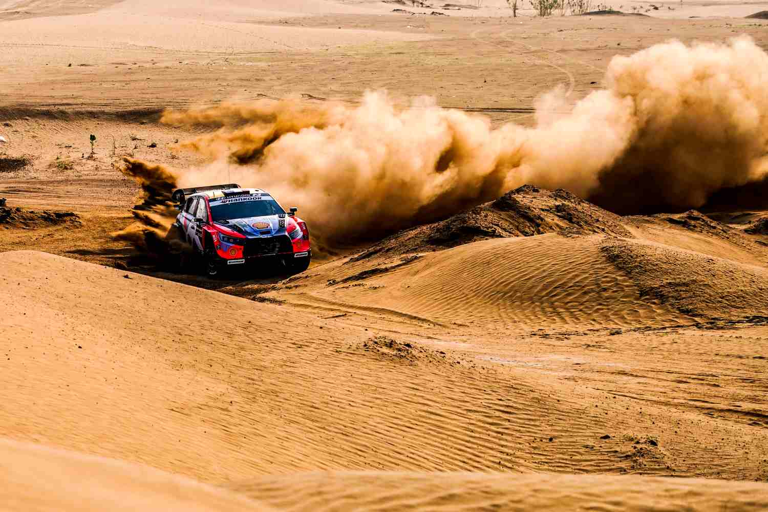 WRC Arábia Saudita: Fourmaux resiste, quatro em 9.2s, luta Ogier/Evans em aberto…
