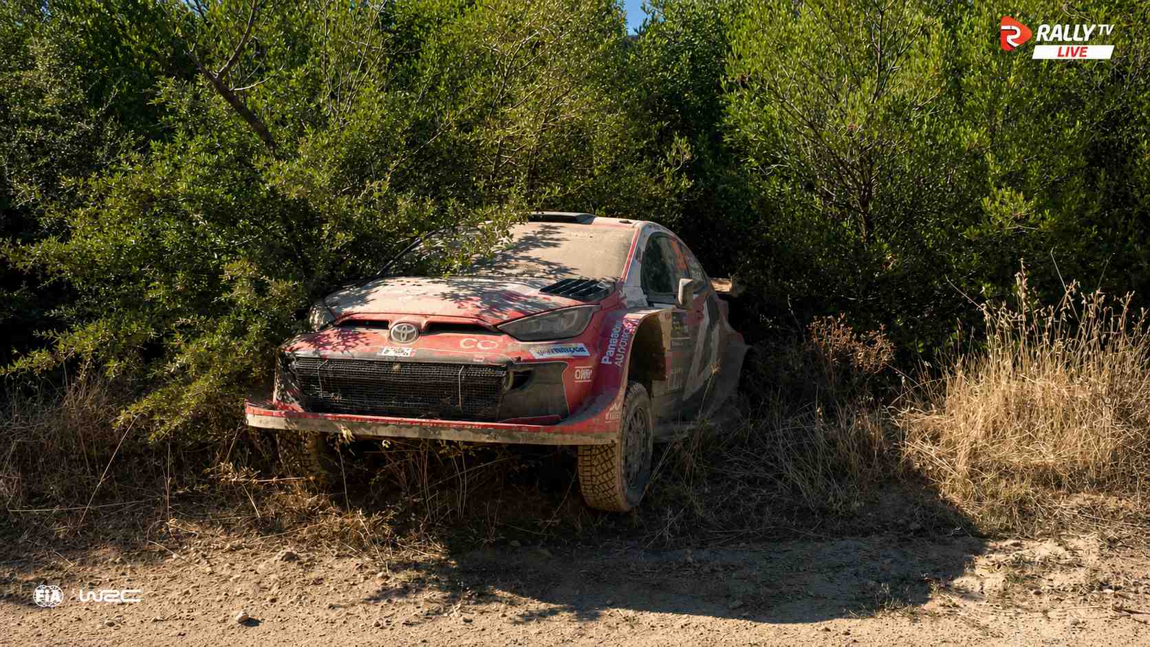 Oliver Solberg: novo rali, velhos hábitos: 4º acidente em 5 ralis