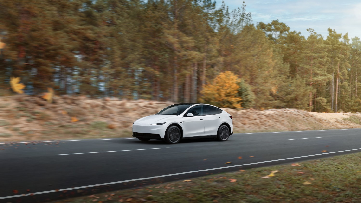 Tesla Model Y lidera vendas em junho