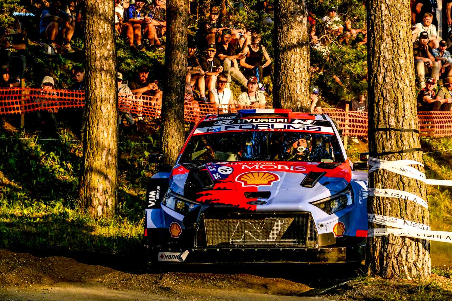 WRC, Rali da Finlândia/PEC19: Sami Pajari e modo gestão, Fourmaux ‘travado’… por uma abelha!