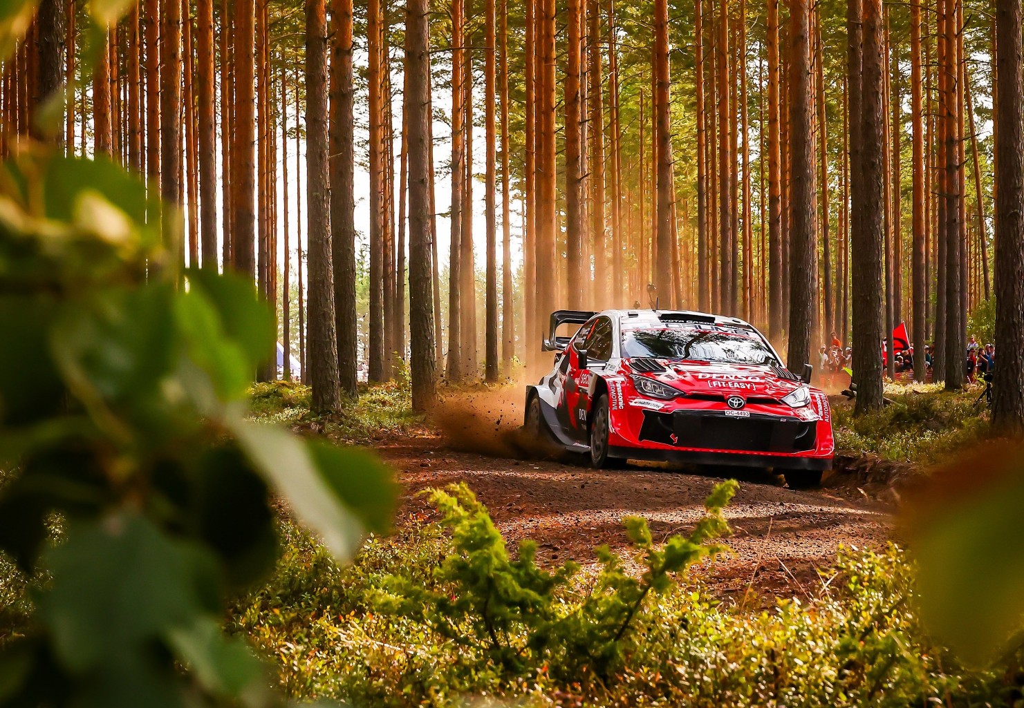 WRC, Rali da Finlândia/PEC18: Sami Pajari líder, com apenas duas especiais para o fim