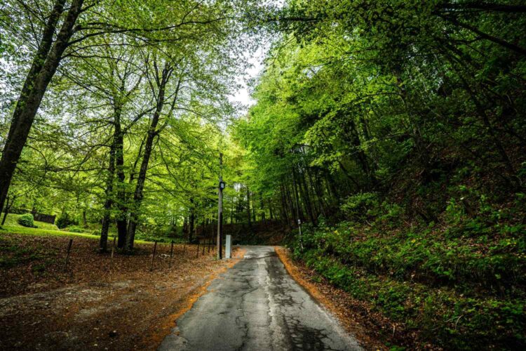 Três acidentes em ralis e montanha em Itália fazem quatro mortos num fim de semana